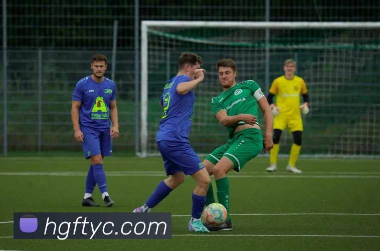 多媒体互动体验